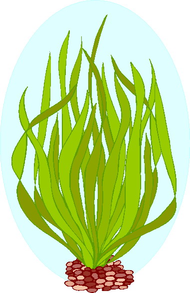 Plants clip art