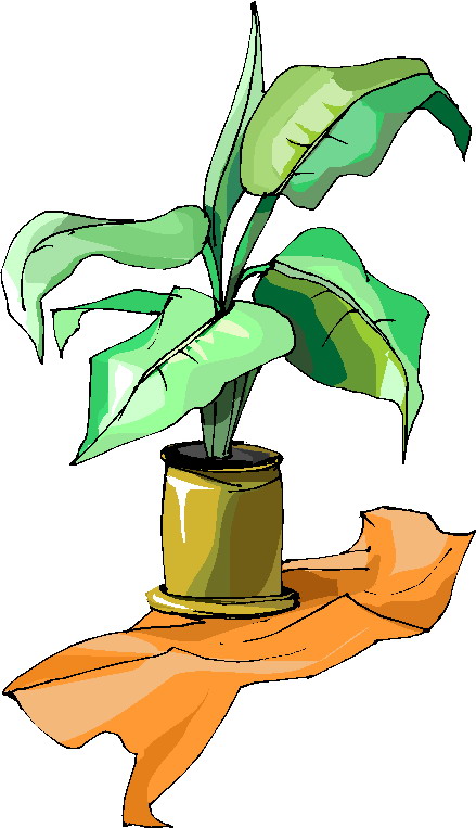 Plants clip art