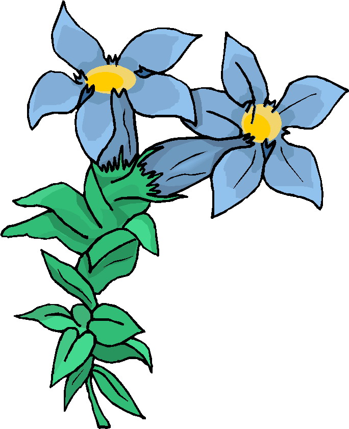 Plants clip art