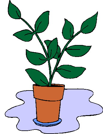 Plants clip art