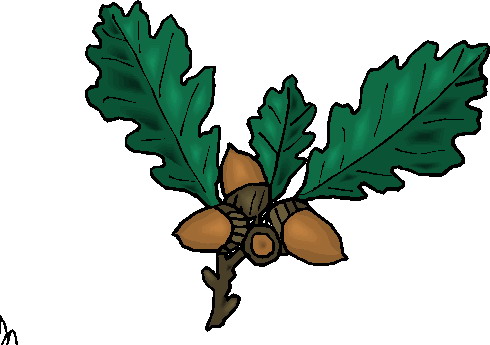 Plants clip art
