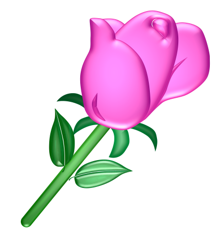 pink rose