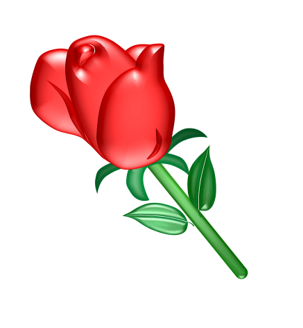 Red rose