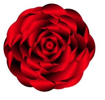 Red Rose