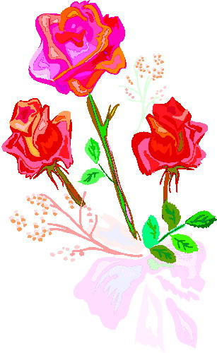 Roses