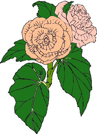 Roses clip art