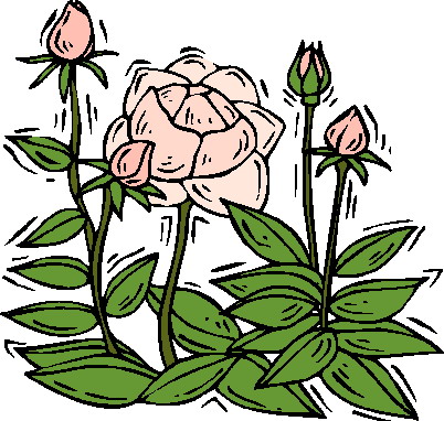 Roses clip art