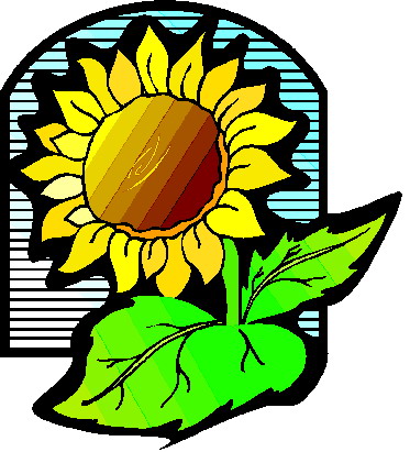 Sunflower clip art