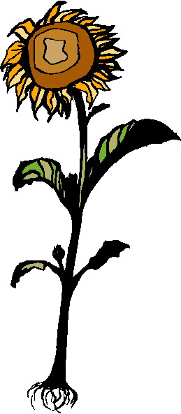 Sunflower clip art