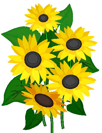 Sunflower clip art