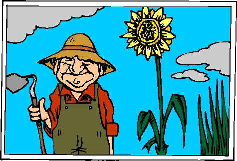 Sunflower clip art