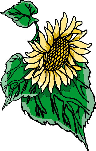 Sunflower clip art