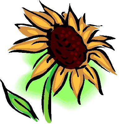 Sunflower clip art