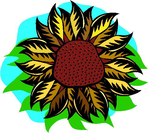 Sunflower clip art