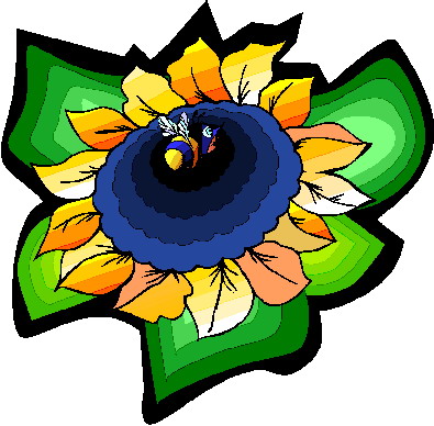 Sunflower clip art