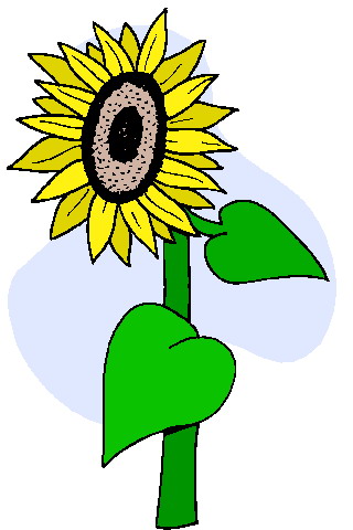 Sunflower clip art