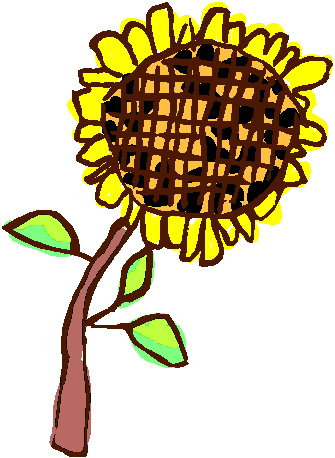 Sunflower clip art