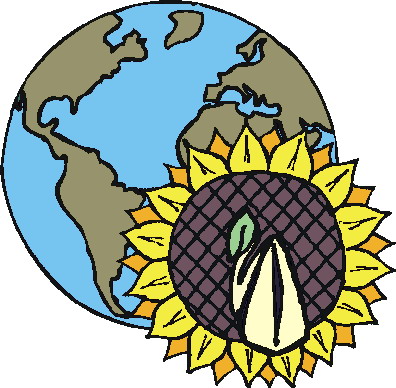 Sunflower clip art