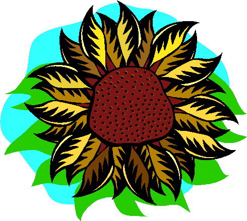 Sunflower clip art