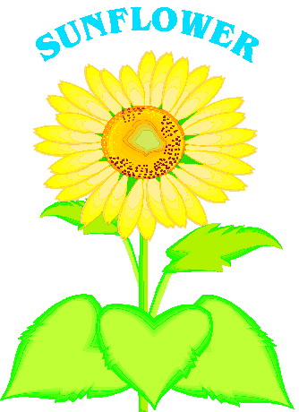 Sunflower clip art