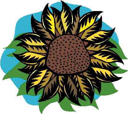 Sunflower clip art