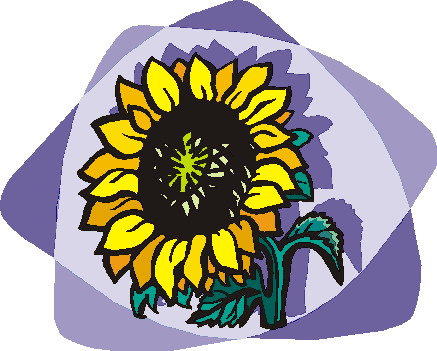 Sunflower clip art