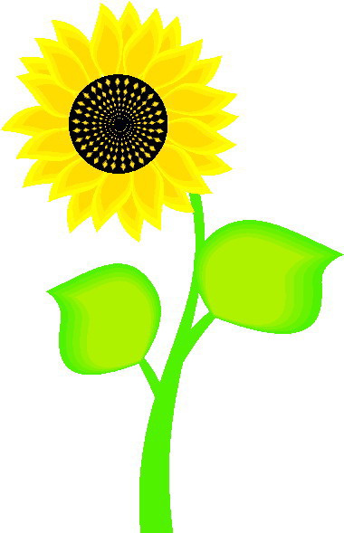 Sunflower clip art