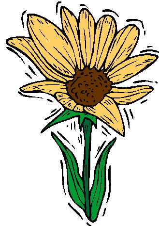 Sunflower clip art