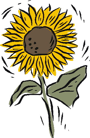 Sunflower clip art