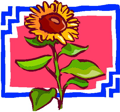 Sunflower clip art