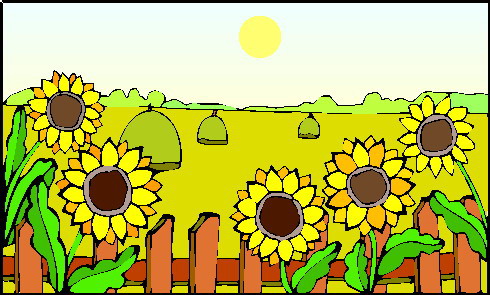 Sunflower clip art