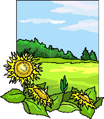 Sunflower clip art