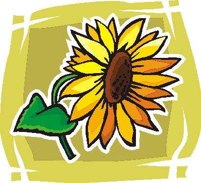 Sunflower clip art