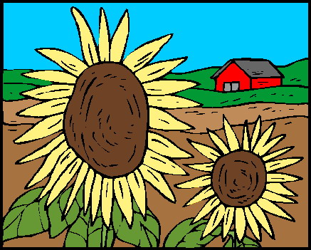 Sunflower clip art