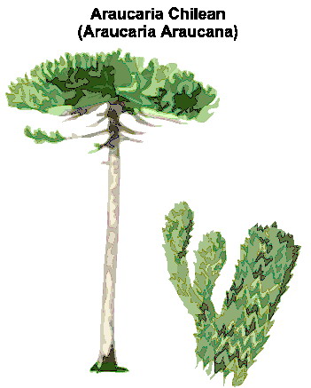 Trees clip art