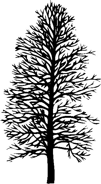 Trees clip art