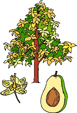 Trees clip art