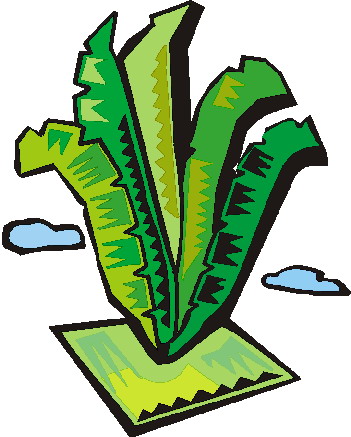Trees clip art