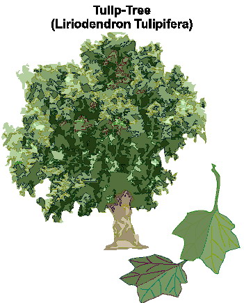 Trees clip art