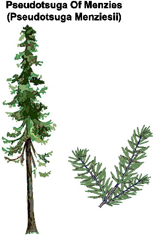 Trees clip art