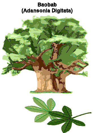 Trees clip art