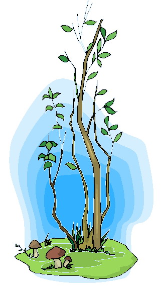 Trees clip art