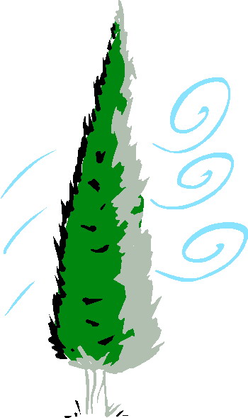 Trees clip art