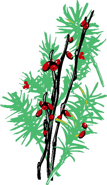 Trees clip art