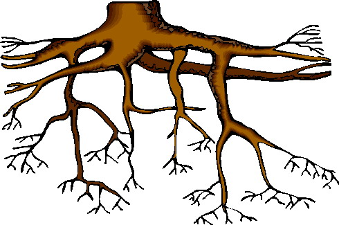 Trees clip art