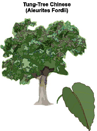 Trees clip art