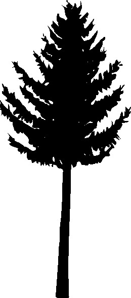 Trees clip art