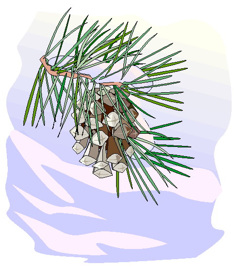 Trees clip art