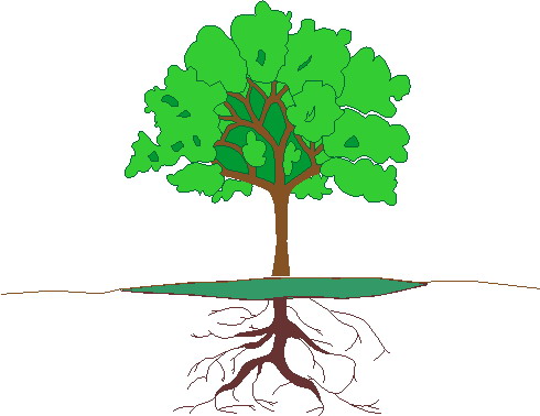 Trees clip art