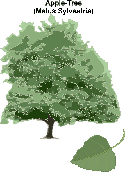 Trees clip art